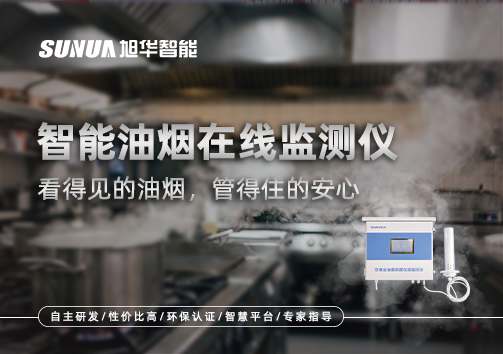 智能油烟在线监测仪：看得见的油烟，管得住的安心